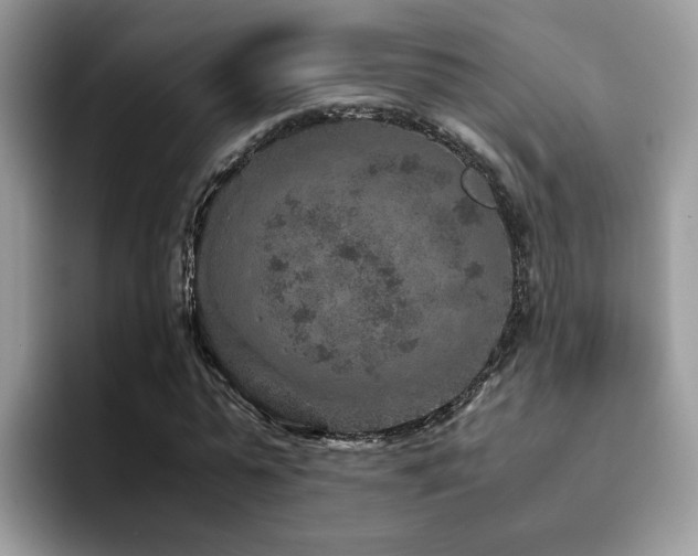 X0000094950775200711291412