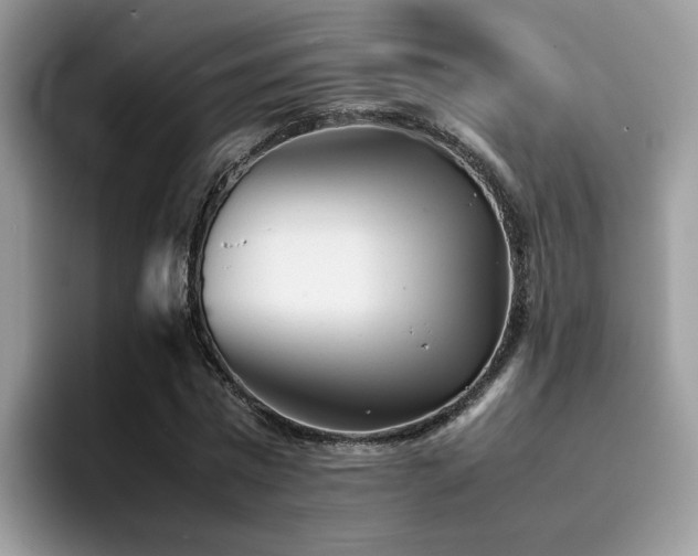 X0000094950777200711291412