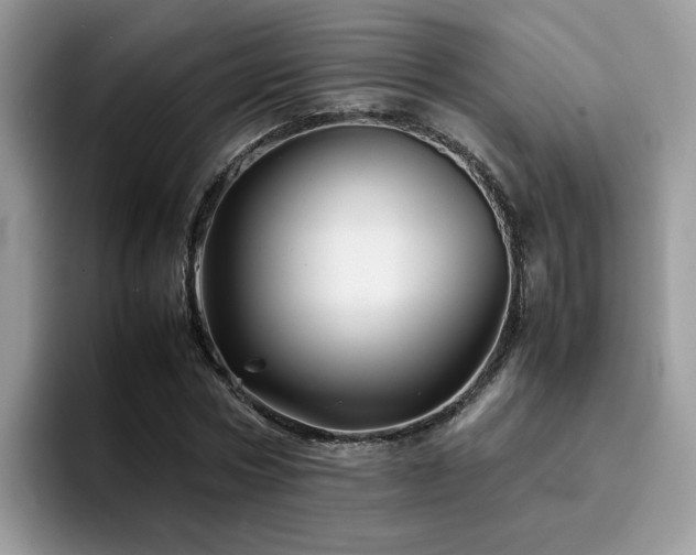 X0000094950778200711291412