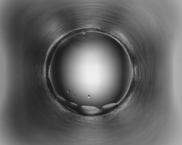 X0000094950780200711291412