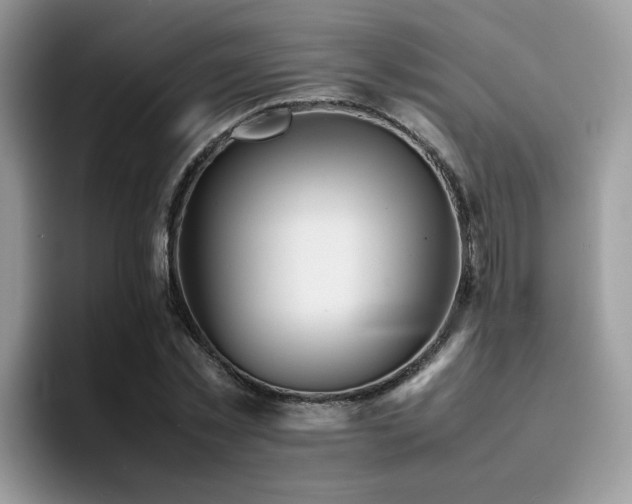 X0000094950781200711291412