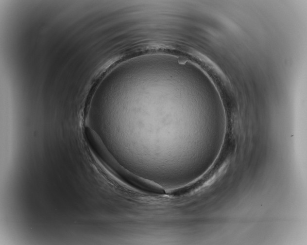 X0000094950785200711291412