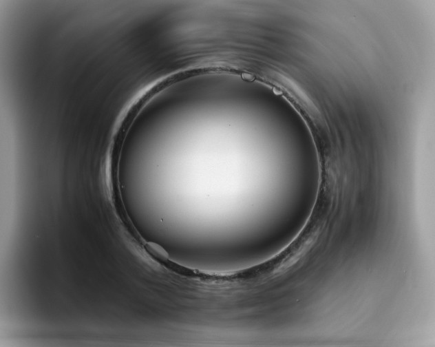 X0000094950788200711291412