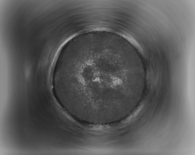 X0000094950790200711291412