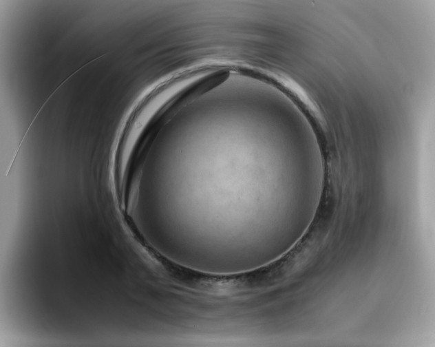 X0000094950791200711291412