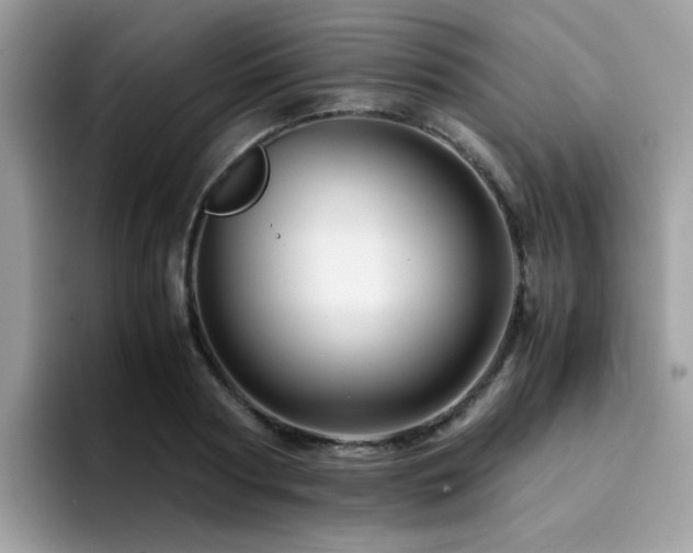 X0000094950794200711291412