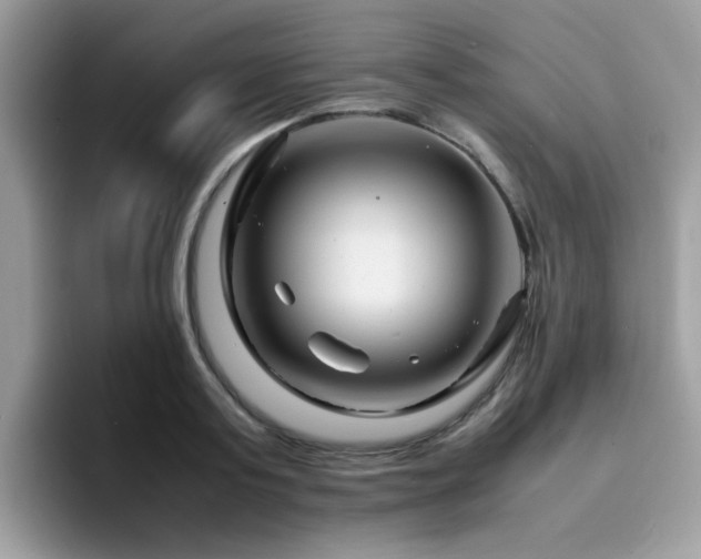 X0000094950795200711291412