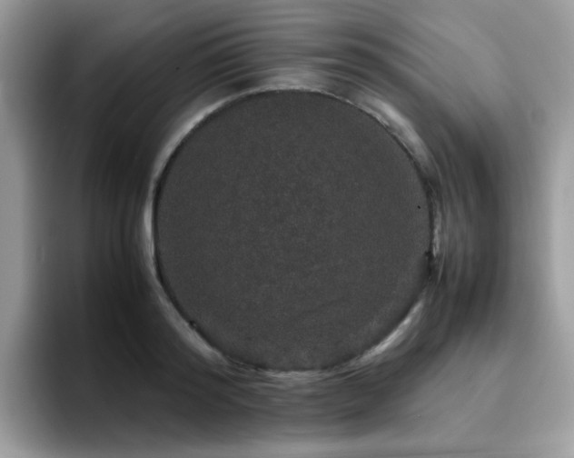 X0000094950796200711291412