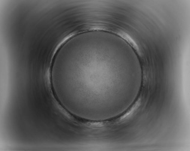 X0000094950798200711291412