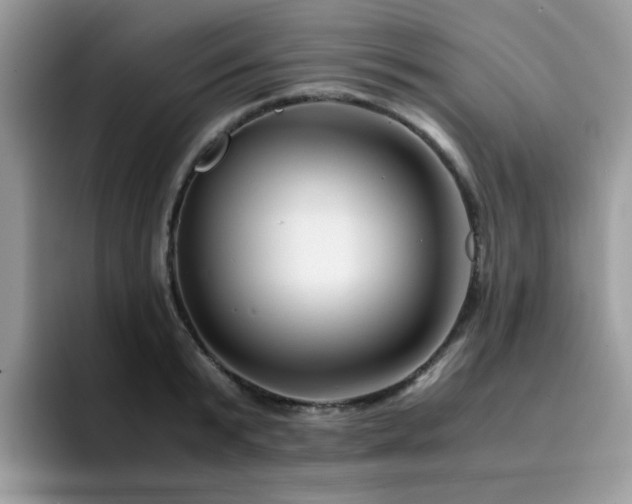 X0000094950799200711291412