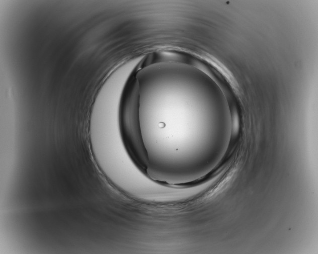 X0000094950801200711291412