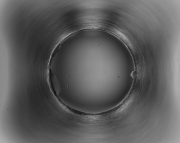 X0000094950802200711291412