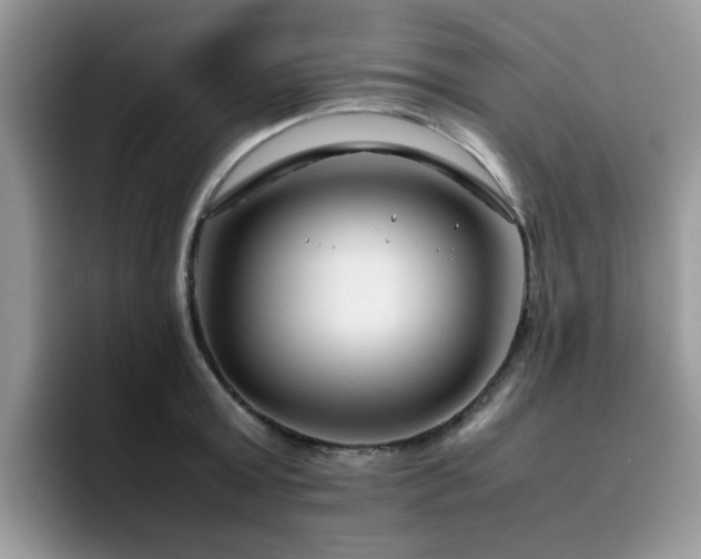 X0000094950803200711291412