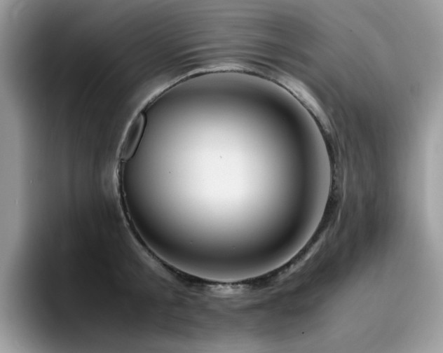X0000094950805200711291412