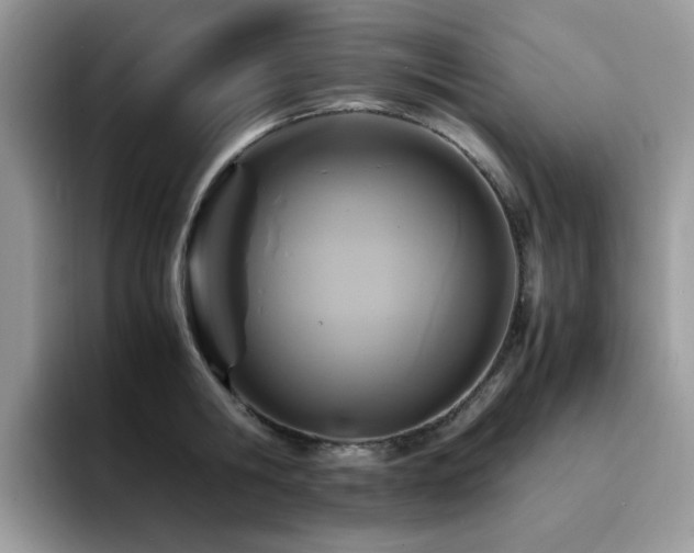 X0000094950806200711291412
