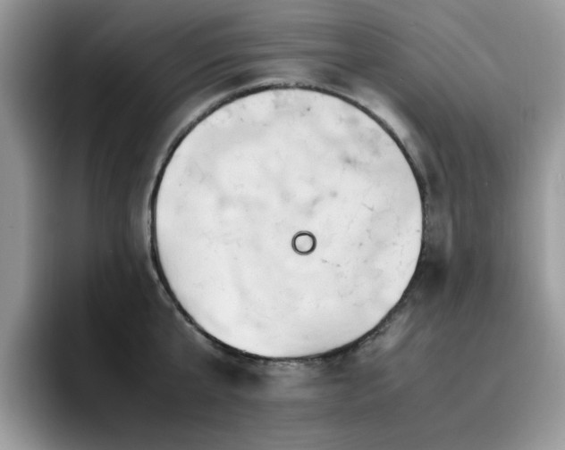 X0000094950807200711291412
