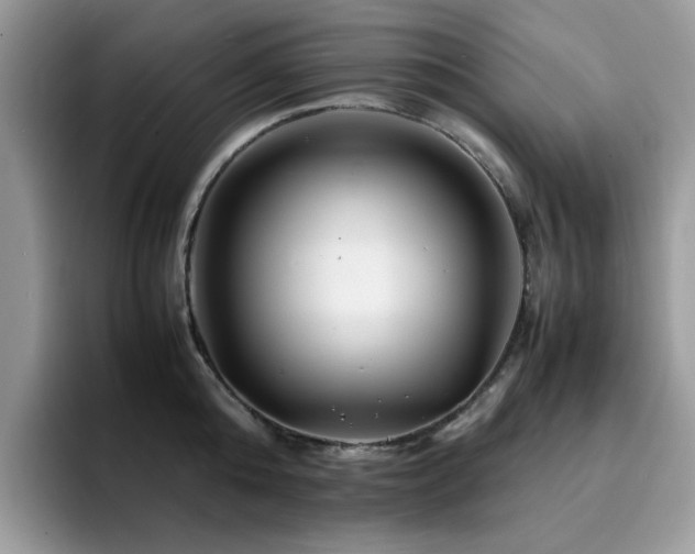 X0000094950808200711291412