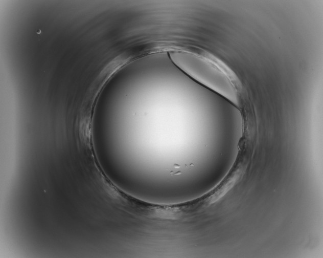 X0000094950809200711291412