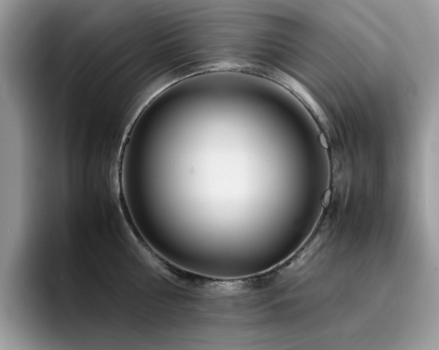 X0000094950810200711291412