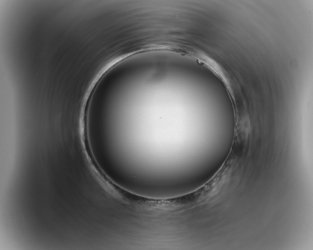 X0000094950811200711291412