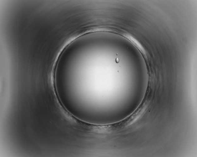 X0000094950813200711291412