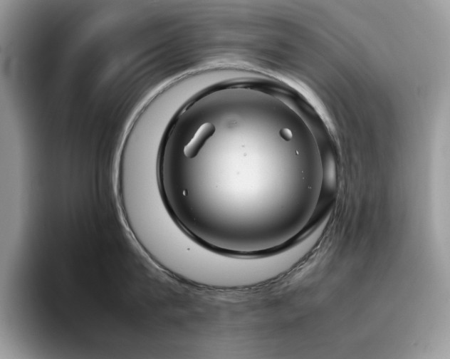 X0000094950815200711291412