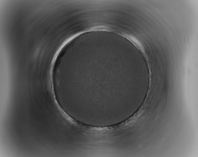 X0000094950816200711291412