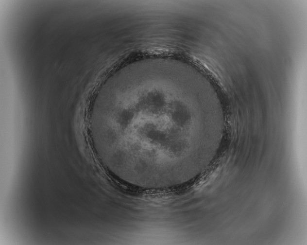 X0000094950817200711291411