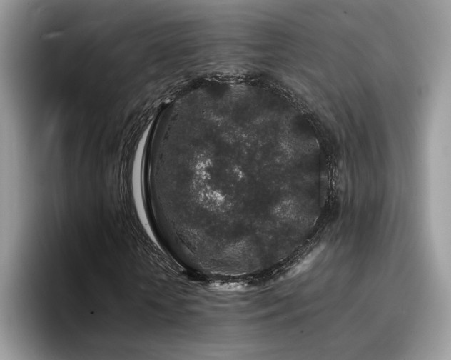 X0000094950818200711291411