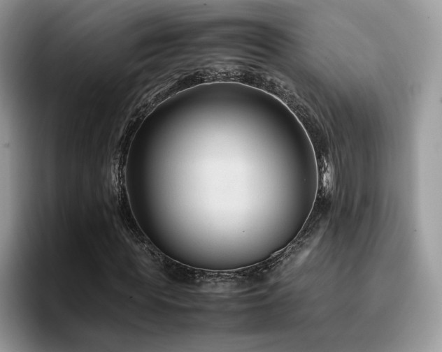 X0000094950819200711291411