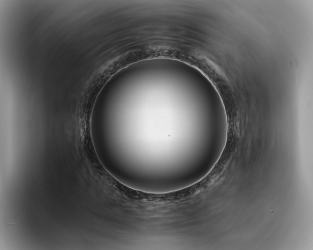 X0000094950821200711291411