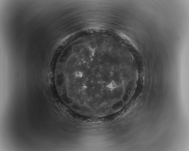 X0000094950822200711291411