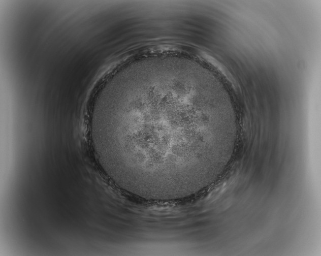 X0000094950823200711291411