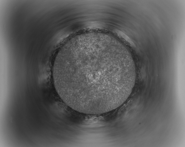 X0000094950824200711291411