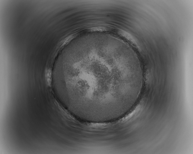 X0000094950825200711291411