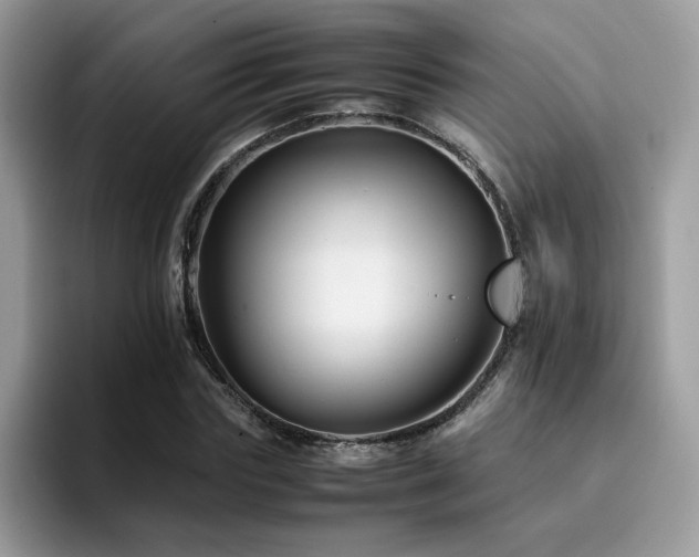 X0000094950827200711291411