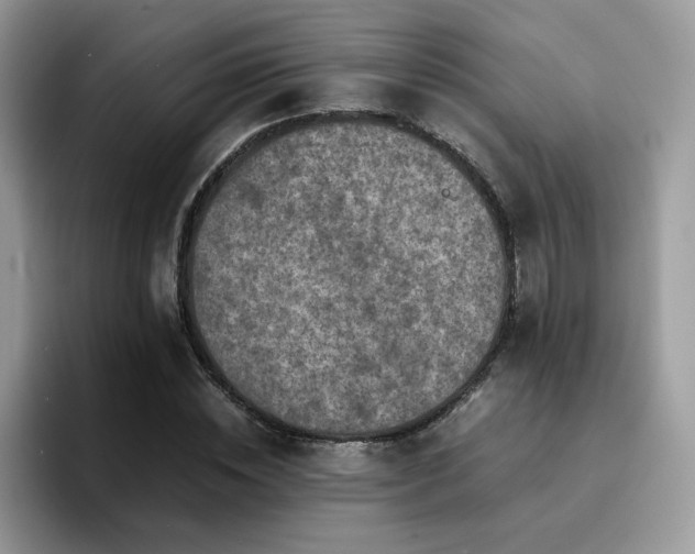 X0000094950828200711291411