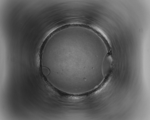 X0000094950829200711291411