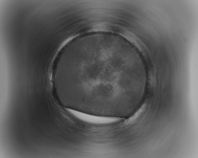 X0000094950830200711291411