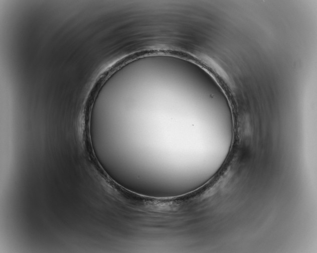 X0000094950831200711291412