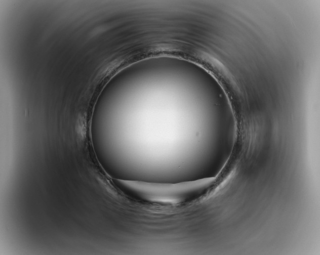 X0000094950833200711291412
