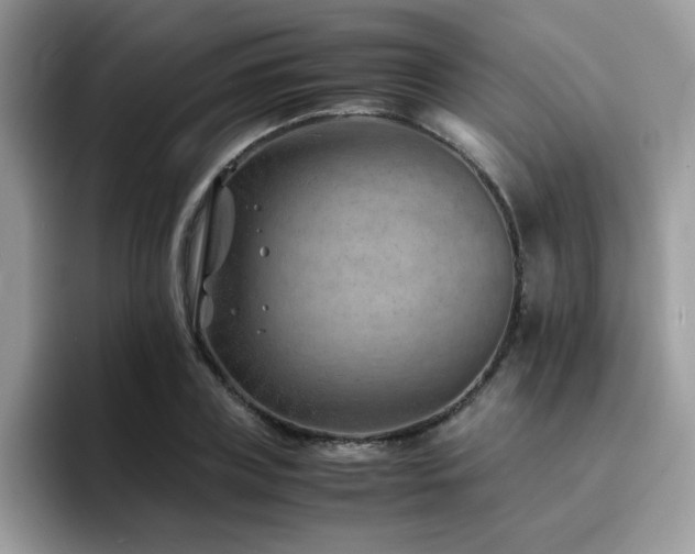 X0000094950835200711291412