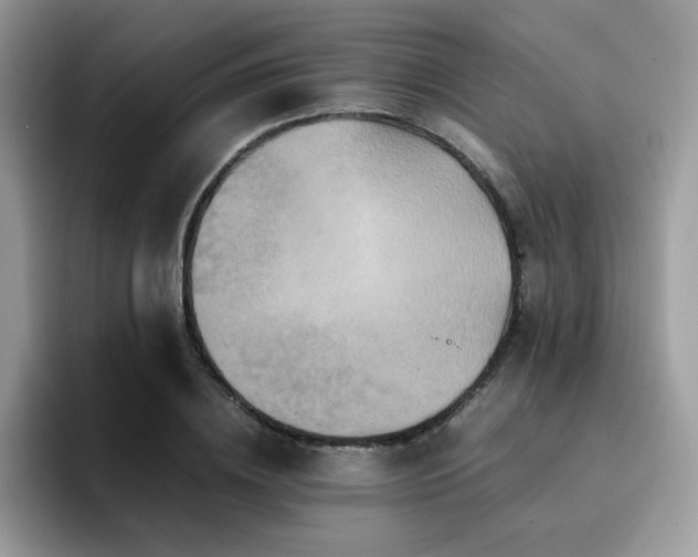 X0000094950836200711291412