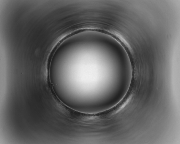 X0000094950837200711291412