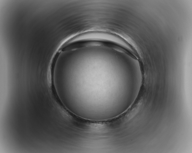 X0000094950838200711291412