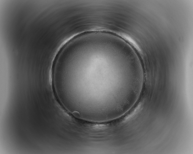 X0000094950839200711291412