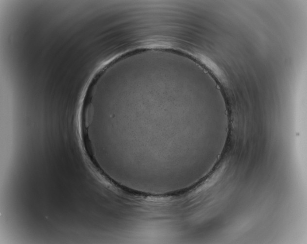 X0000094950840200711291412