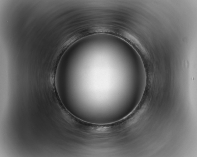 X0000094950841200711291412