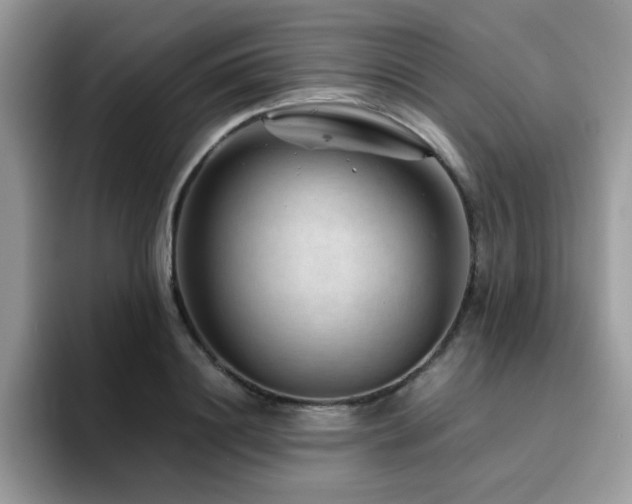 X0000094950844200711291412