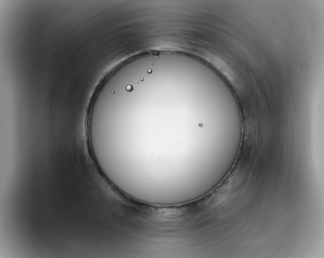 X0000094950848200711291412